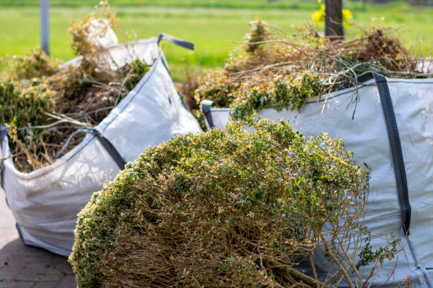 Best Estate Cleanout Services  in New Boston, TX